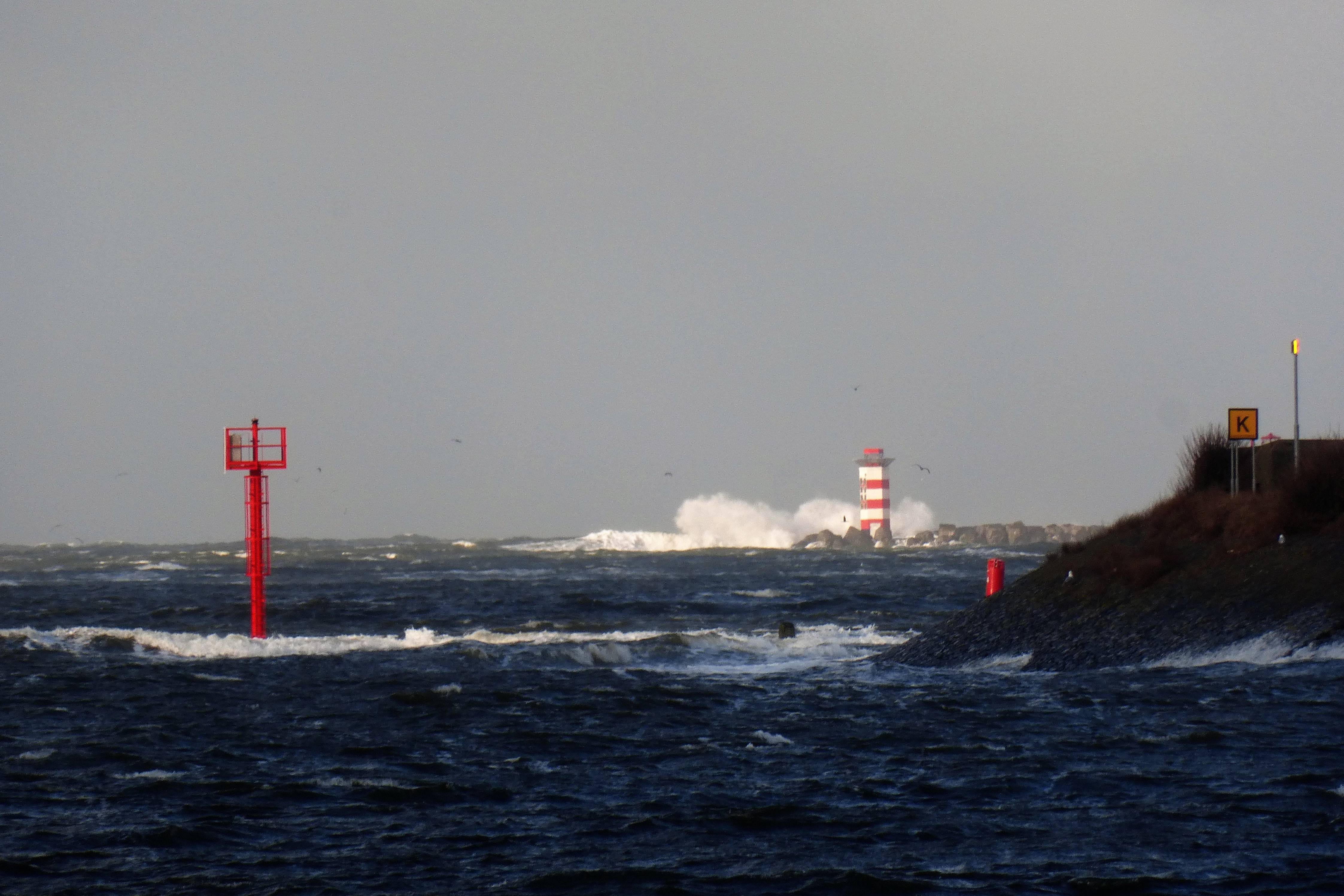 Pieren IJmuiden   04-02-20 